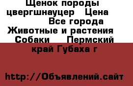 Щенок породы  цвергшнауцер › Цена ­ 30 000 - Все города Животные и растения » Собаки   . Пермский край,Губаха г.